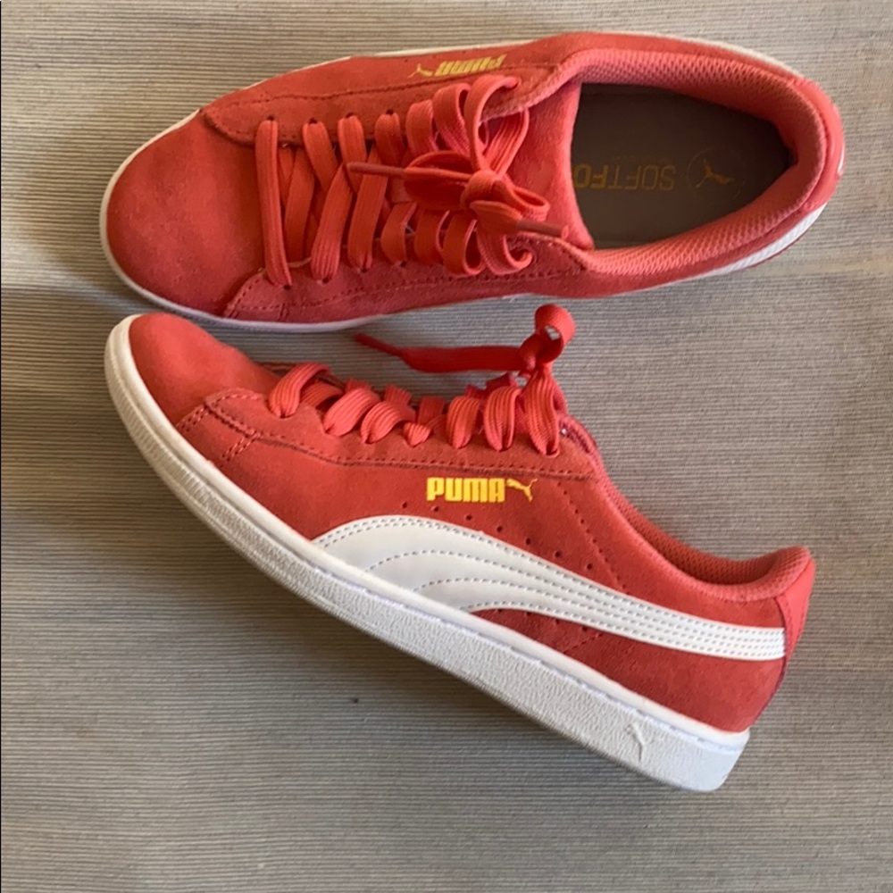 Pink puma